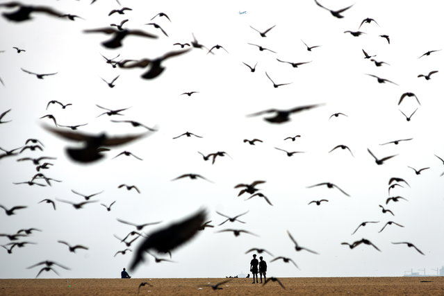Beachgoers walk along the shores of the Bay of Bengal as a flock of pigeons fly in the morning, at Marina beach in Chennai, India, 09 October 2021. (Photo by Idrees Mohammed/EPA/EFE)