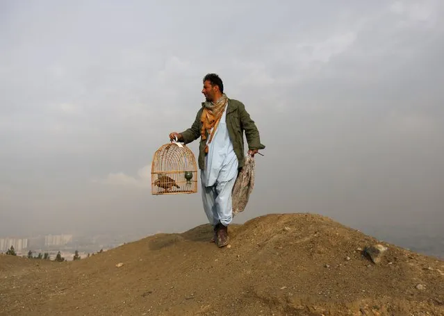A man walks with a cage of quails on a hill in Kabul, Afghanistan March 3, 2016. (Photo by Mohammad Ismail/Reuters)