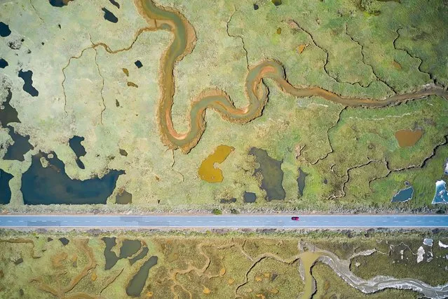 Winner, wetlands: the bigger picture. Road to ruin, by Javier Lafuente, Spain. A stark, straight line of road slices through the curves of the wetland landscape. By manoeuvring his drone and inclining the camera, Lafuente dealt with the challenges of sunlight reflected by the water and ever-changing light conditions. Dividing the wetland in two, this road was constructed in the 1980s to provide access to a beach. The tidal wetland is home to more than 100 species of birds, with ospreys and bee-eaters among many migratory visitors. (Photo by Javier Lafuente/Wildlife Photographer of the Year 2021)