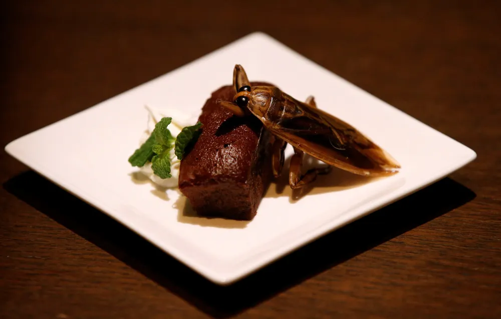 Japanese Celebrate Valentine's Day with Insect Sweets