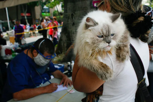 A veterinarian writes a recipe during a free care day organized by Misión Nevado, in the midst of the Coronavirus pandemic in a square west of the city in Caracas, Venezuela on October 3, 2021. (Photo by Javier Campos/NurPhoto/Rex Features/Shutterstock)