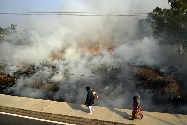 A couple walks past crop stubble set on fire by farmers on the out skirts of Jalandhar, in the northern Indian state of Punjab, Wednesday, November 17, 2021. New Delhi, a city of 20 million, is one of the world’s most polluted cities. Air quality often hits hazardous levels during the winter, when the burning of crop residue in neighboring states coincides with lower temperatures that trap smoke. The smoke travels to New Delhi, obscuring the sky. (Photo by AP Photo/Stringer)