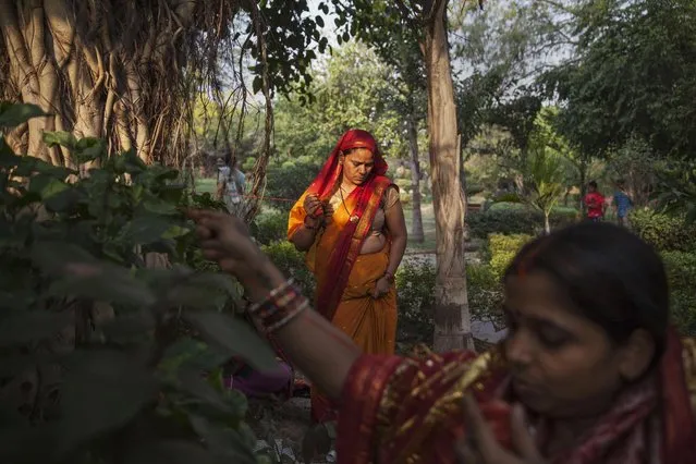 Indian Hindu women tie threads around a banyan tree to seek prosperity and longevity for their husbands on Somvati Amavasya in New Delhi, India, Monday, May 18, 2015. Somvati Amavasya is the no moon day that falls on a Monday in a traditional Hindu lunar calendar. (Photo by Tsering Topgyal/AP Photo)