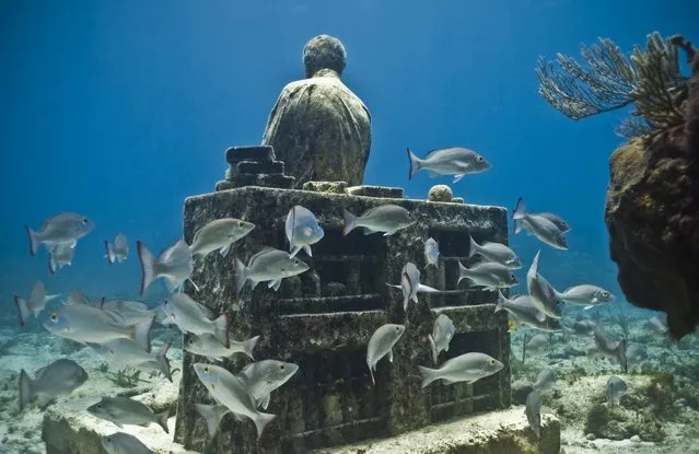 “The dream collector”. Underwater Sculpture, Museo Subacuático de Arte, Cancun. (Photo by Jason deCaires Taylor/UnderwaterSculpture)