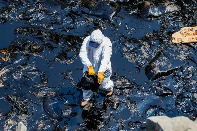 A handout photo made available by the Municipality of Ventanilla showing the cleaning work of the oil spill spilled on 15 January into the Pacific Ocean from the Peruvian refinery of La Pampilla, by the tsunami from the volcanic eruption of Tonga, in Lima, Peru, 19 January 2022. Although the La Pampilla Refinery, operated by Repsol, initially told the Peruvian Prosecutor's Office that the spill had been about seven gallons of crude oil, it has already affected several beaches and protected natural areas in the municipality of Ventanilla, in the constitutional province of Callao, which is adjacent to Lima. “It has gone from being a small spill to being a disaster of proportions”, according to the mayor of Ventanilla, Pedro Spadaro. (Photo by Cristhian Meza/Municipality of Ventanilla/EPA/EFE/Rex Features/Shutterstock)