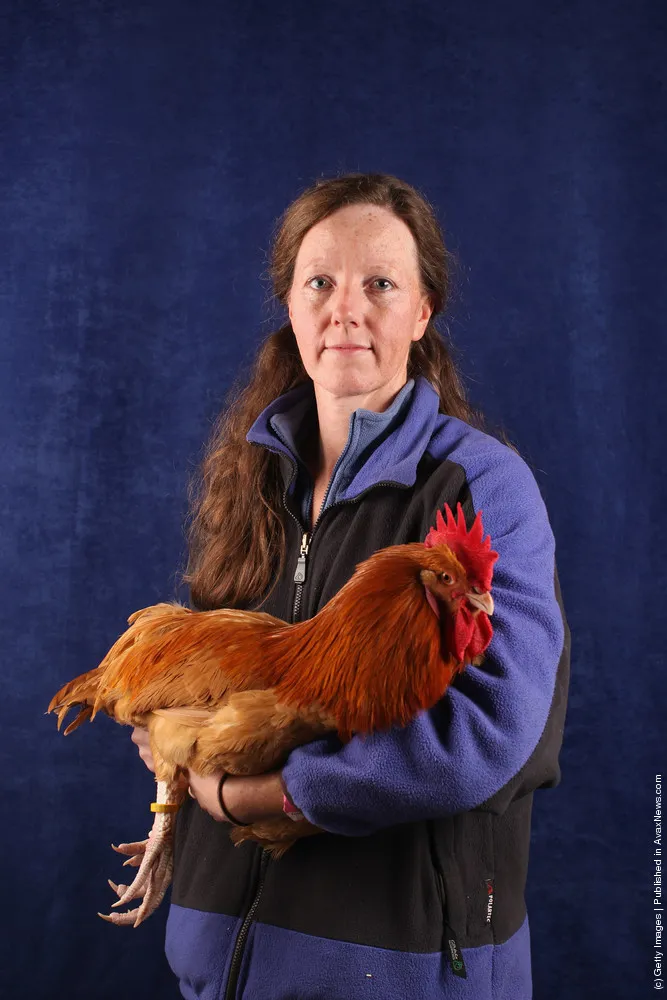 Enthusiasts Participate In The National Poultry Show