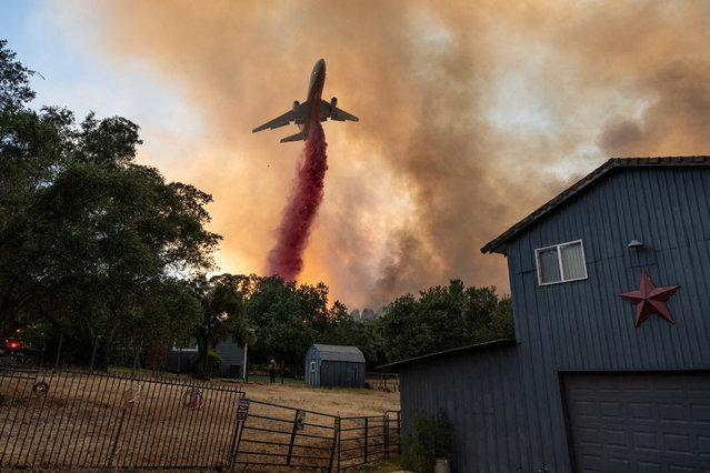 Firefighters drop retardant from a plane next to a house as they battle a wildfire in a canyon in Oroville, California on July 3, 2024. (Photo by Carlos Barria/Reuters)