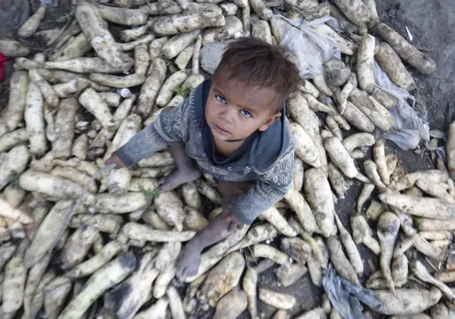 A child of a broom maker plays with rotten vegetables outside his family's make-shift tent in the outskirts of Srinagar, the summer capital of Indian Kashmir, 17 May 2016. India, which have the largest number of poor in the world, completes 25 years of the beginning of economic reforms this July. President of India, Pranab Mukherjee has said that India will have to raise its growth rate to 8.5-9 percent annually for the next 15-20 years in order to ensure that poverty is totally eliminated from the country. (Photo by Farooq Khan/EPA)