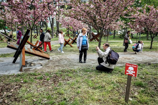 People take pictures under cherry blossoms in a park in Kyiv, Ukraine on May 4, 2023. (Photo by Alina Smutko/Reuters)