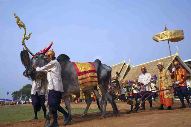 Cambodians gather for the annual royal plowing ceremony in Kampong Thom provincial town, north of Phnom Penh, Cambodia, Monday, May 8, 2023. The ceremony was held to mark the start of rice-farming season. (Photo by Heng Sinith/AP Photo)