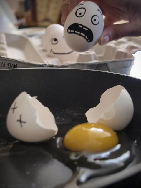 Eggsecution