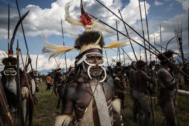 A group of Papuanese tribal men prepare to perfrom mock battles during the 25th Baliem Valley festival on August 7, 2014 in Wamena, Indonesia. (Photo by Agung Parameswara/Getty Images)