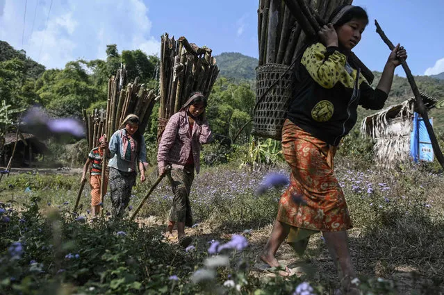 This photo taken on February 5, 2020 shows women carrying wood for a campfire for the upcoming overnight ceremony by Naga tribeswomen to bless the harvest in Satpalaw Shaung village, Lahe township in Myanmar's Sagaing region. (Photo by Ye Aung Thu/AFP Photo)