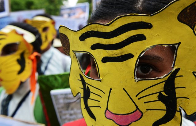 Indian schoolchildren wear tiger masks during a rally to promote tiger conservation, in Kolkata, India on July 29, 2016. Every year, July 29 is celebrated as International Tiger Day. (Photo by Dibyangshu Sarkar/AFP Photo)