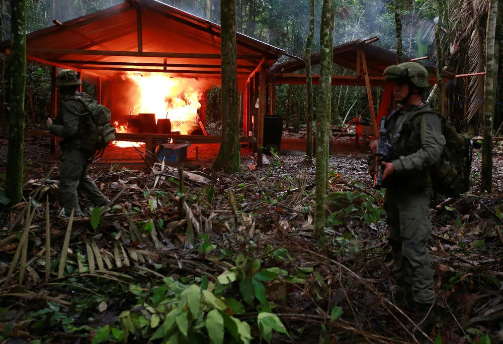 Colombia Destroyed More than 100 Cocaine Labs in 5 Days