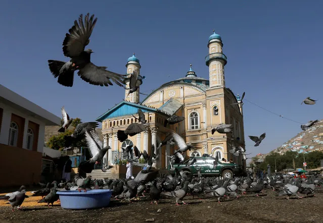 Pigeons fly outside the Shah-e Doh Shamshira Mosque, as people head for morning prayers on Eid-al-Fitr in Kabul Afghanistan June 25, 2017. (Photo by Omar Sobhani/Reuters)
