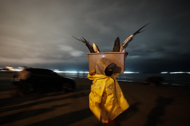 A fisherman carries his catch of the day to market, in Manta, Ecuador, Tuesday, September 24, 2024. (Photo by Dolores Ochoa/AP Photo)