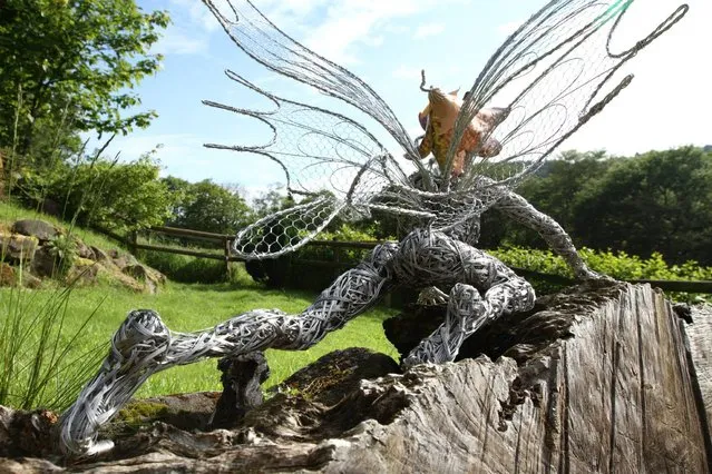 Fantasy Wire Fairies Sculptures By Robin Wight