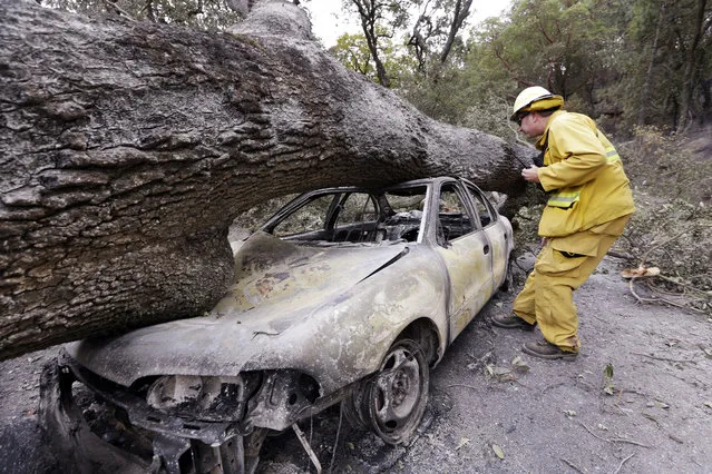 Firefighter Jeff Ohs looks into a burned out car that was also hit by a tree at the Harbin Hot Springs resort in a wildfire several days earlier, Tuesday, September 15, 2015, near Middletown, Calif. The fire that sped through Middletown and other parts of rural Lake County, less than 100 miles north of San Francisco, has continued to burn since Saturday despite a massive firefighting effort. (Photo by Elaine Thompson/AP Photo)