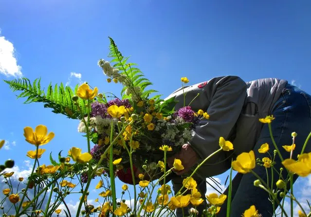 A woman picks flowers from a meadow on May 11, 2014 in Kaufbeuren, southern Germany. (Photo by Karl-Josef Hildenbrand/AFP Photo/DPA)