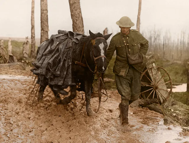 Horse laden with trench boots on the Somme Front, 1916. (Photo by PhotograFix/mediadrumworld.com)