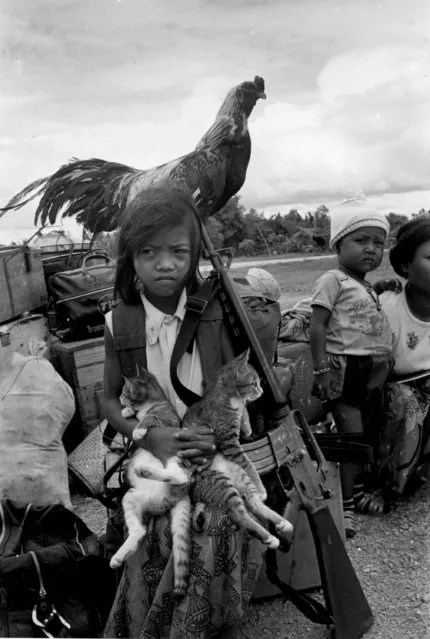 A Cambodian girl stands with her rooster and two kittens next to her father's rifle at a marshalling point in Siem Reap Province, Cambodia, October 10, 1974. In Cambodia, family members often follow breadwinners into the combat zone. (Photo by Tea Kim Heang/AP Photo)