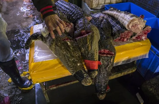 Crocodile meat parts stands on display on Huangsha Seafood Market in Guangzhou, Guandong Province, China, 20 January 2018. (Photo by Aleksandar Plavevski/EPA/EFE)