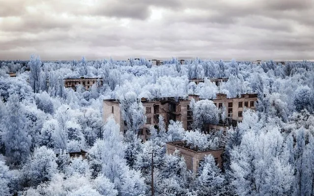 The town of Pripyat. (Photo by Vladimir Mitgutin/Caters News Agency)