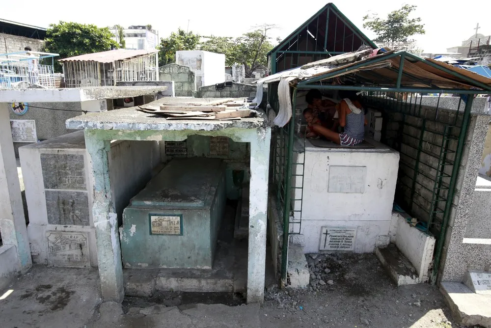 Life in the Cemetery