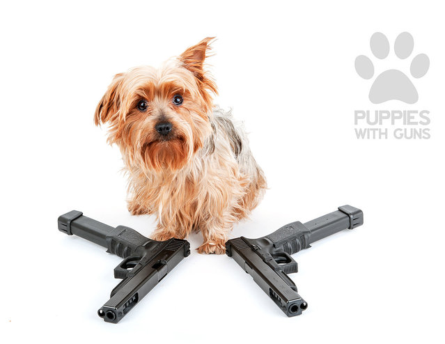 Puppies with guns calendar 2015. (Photo by Ben Haulenbeek)