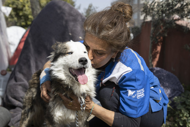 A personnel caresses a dog, named “Aleks”, who is received a treatment after 22 days of being rescued from under the rubble following 7.7 and 7.6 magnitude earthquakes hit multiple provinces of Turkiye including their trauma in Hatay, Turkiye on February 28, 2023. (Photo by Gokhan Balci/Anadolu Agency via Getty Images)