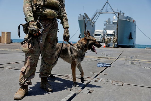 An American soldier stands guard with a dog at Trident Pier, a temporary pier to deliver aid, off the Gaza Strip, amid the ongoing conflict between Israel and Hamas, near the Gaza coast, on June 25, 2024. (Photo by Amir Cohen/Reuters)