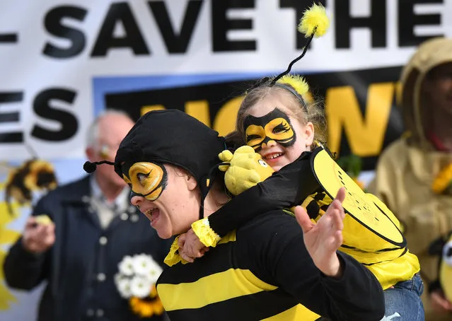 A child joins activist staging a demonstration to call upon European member states to protect the bees by voting a full ban on bee- killing pesticides, in front of the European Commission in Brussels on April 27, 2018. European member states were set to vote on April 27, 2018 to decide or not on a full ban of neonicotinoids pesticides, after a partial ban was introduced five years ago. (Photo by Emmanuel Dunand/AFP Photo)