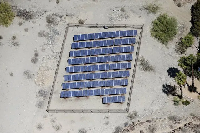 Solar panels are seen in the Palm Springs area, California in this April 13, 2015 file photo. (Photo by Lucy Nicholson/Reuters)