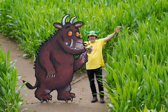 Farmer Tom Pearcy, the creator of York Maze, poses for a picture in the maize field he has cut during a press launch at York Maze on July 12, 2024 in York, England. York Maze is celebrating 25 years of The Gruffalo this year. Tom Pearcy, the creator, has cut over 5 km of pathways in his 15-acre field of over a million maize plants to mark The Gruffalo's 25th Birthday. Covering an area the size of eight Wembley football pitches, York Maze is believed to be the biggest in Europe and one of the largest in the world. When viewed from the air, the design shows a giant image of The Gruffalo, The Gruffalo's Child, and other animals from the story. The Gruffalo in the maze is over 150m tall and believed to be the biggest image of The Gruffalo ever created. (Photo by Ian Forsyth/Getty Images)