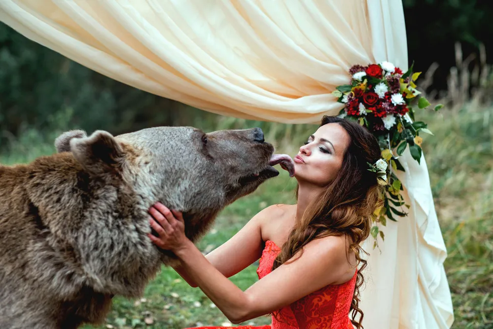 Bear Friend Attends Wedding
