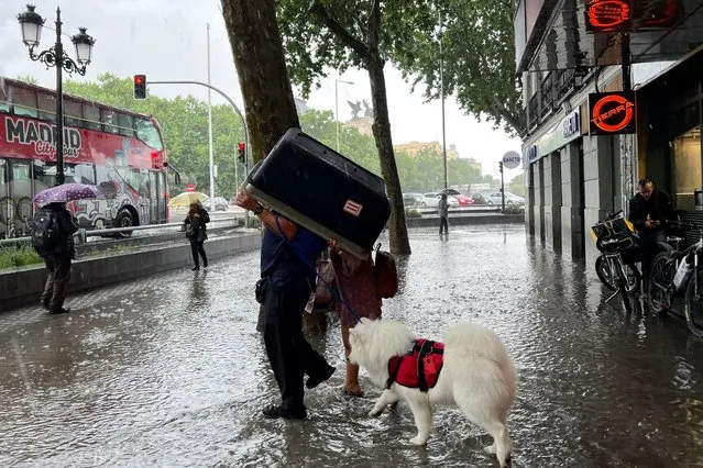 A couple covers themselves using a dog transporter during heavy rain in Madrid, Spain on May 28, 2023. (Photo by Nacho Doce/Reuters)