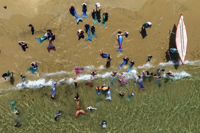 Members of the Israeli Mermaids Community swim with their mermaid tails at the Mediterranean Sea in Bat Yam, near Tel Aviv, Israel, Friday, July 21, 2023. (Photo by Oded Balilty/AP Photo)