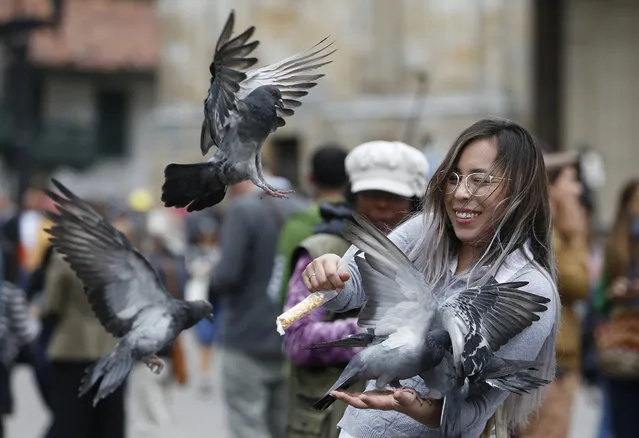A woman feeds pigeons at Bolivar Square in Bogota, Colombia, Tuesday, October 2, 2018. Feeding pigeons corn and taking a photo with them in Bolivar Square has been something of a local tradition for decades. (Photo by Fernando Vergara/AP Photo)
