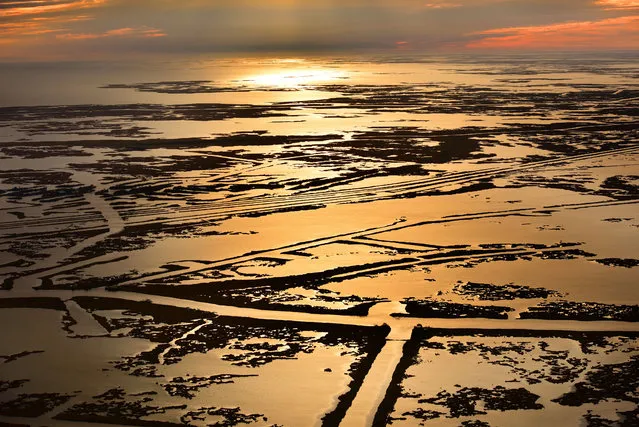 Louisiana wetlands at sunset. (Photo by Jassen Todorov/Caters News)