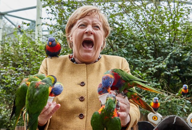 German Chancellor Angela Merkel reacts as she gets bitten while feeding Australian lorises at Marlow Bird Park in Marlow, Germany on September 23, 2021. (Photo by Georg Wendt/dpa)