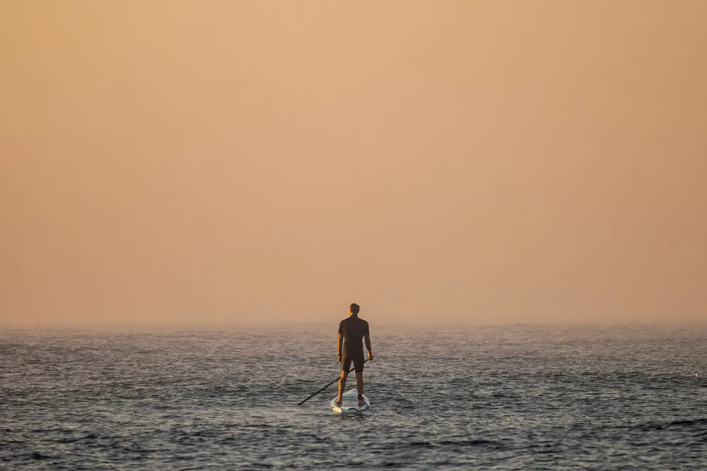 Some Photos: Foggy Day