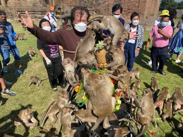 Monkeys cling onto an organiser while eating fruit during  the annual Monkey Festival, which resumed after a two-year hiatus due to the COVID-19 pandemic, in Lopburi province, Thailand, November 28, 2021. (Photo by Jiraporn Kuhakan/Reuters)