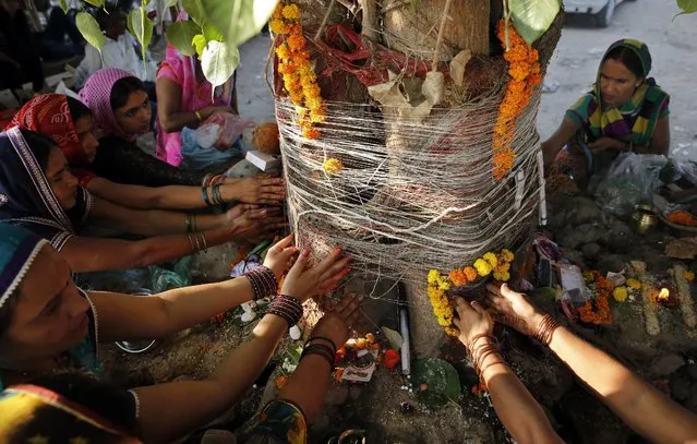 Hindu women devotees offer prayers to a peepal tree on Somvati Amavasya in Allhabad, India, Monday, May 18, 2015. (Photo by Rajesh Kumar Singh/AP Photo)