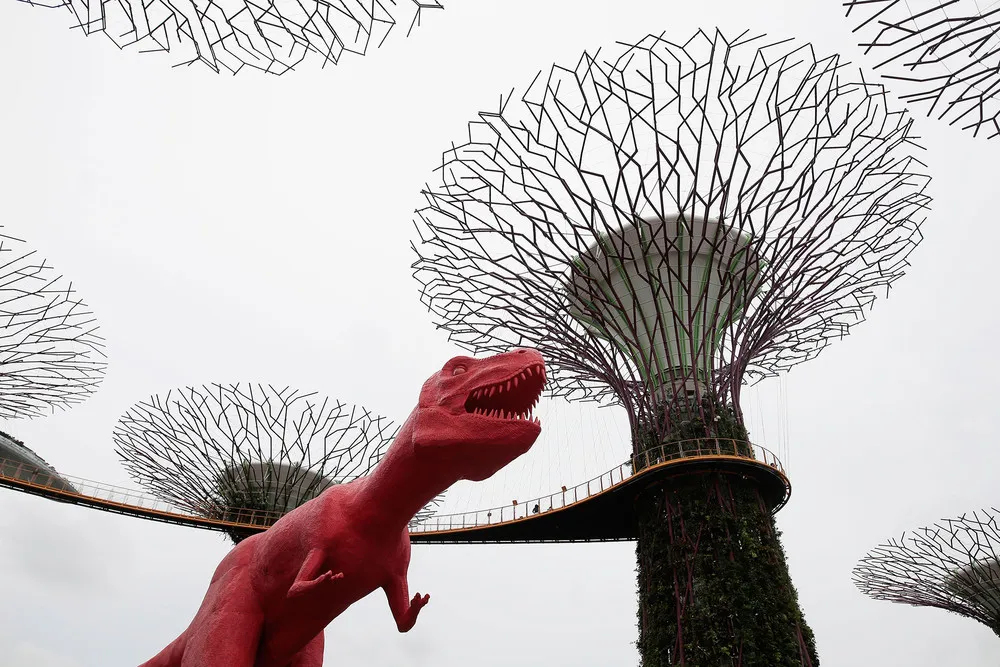 The Day in Photos – March 2, 2017