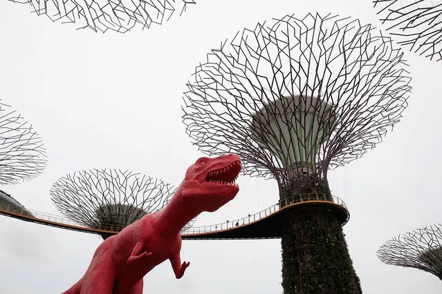 A Tyrannosaurus Rex statue stands among Supertrees at the Gardens by the Bay in Singapore on March 1, 2017. A total of eleven dinosaur statues have been placed in the vicinity of the Supertrees as part of the Children's' Festival, which will take place from 10 March until 02 April 2017. (Photo by Wallace Woon/EPA)