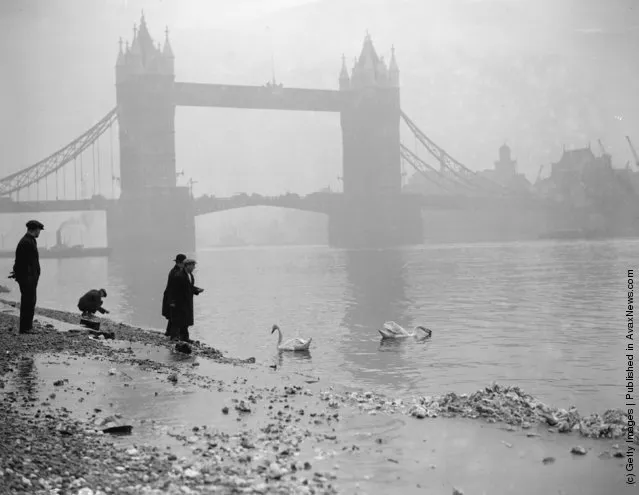 1928: Strollers feed the swans near Tower Bridge, London