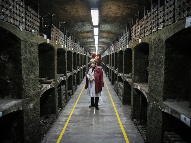 A worker of the Massandra winery and museum leads the visit through the wine cellars of the winery in Massandra village near Yalta. (Photo by Sergei Ilnitsky/EPA)