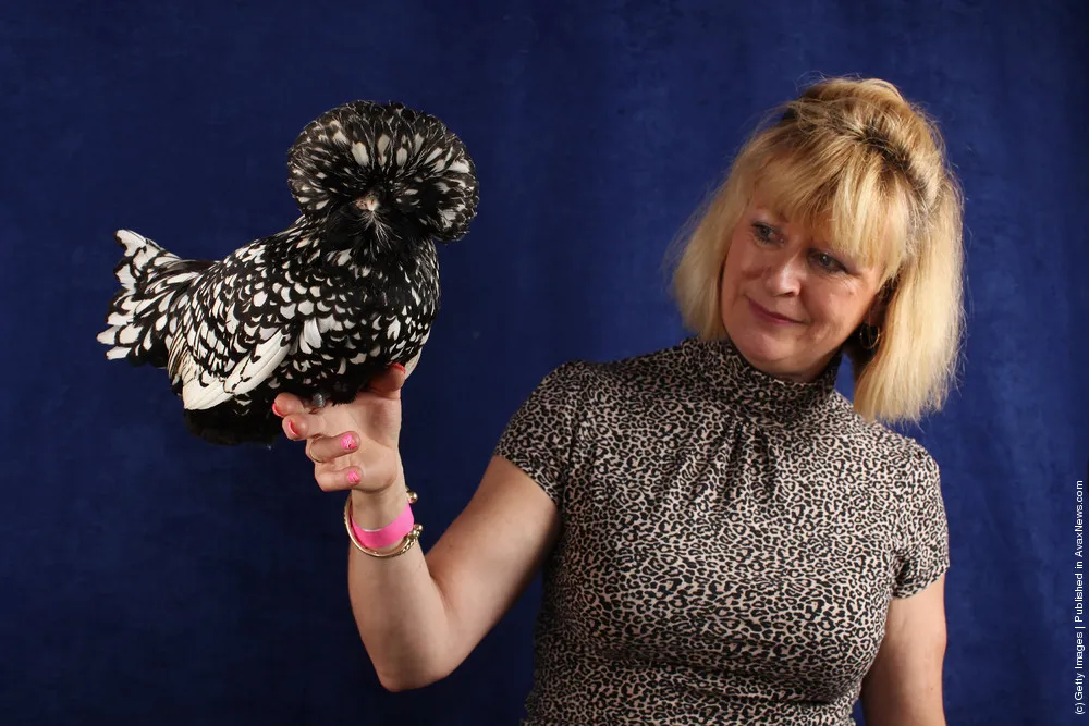 Enthusiasts Participate In The National Poultry Show