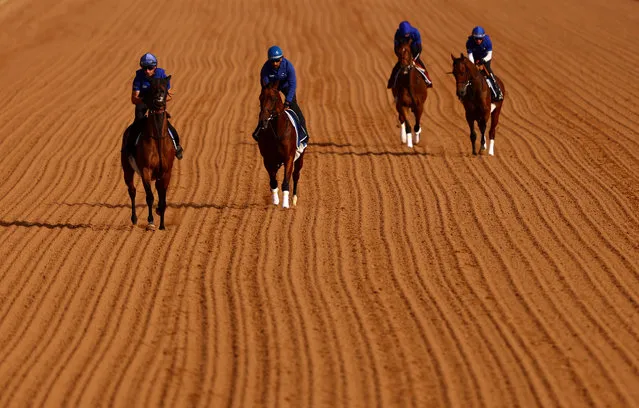 A general view of morning track work ahead of the Saudi Cup  2022 at King Abdulaziz Racecourse on February 24, 2022 in Riyadh, Saudi Arabia. (Photo by Francois Nel/Getty Images)
